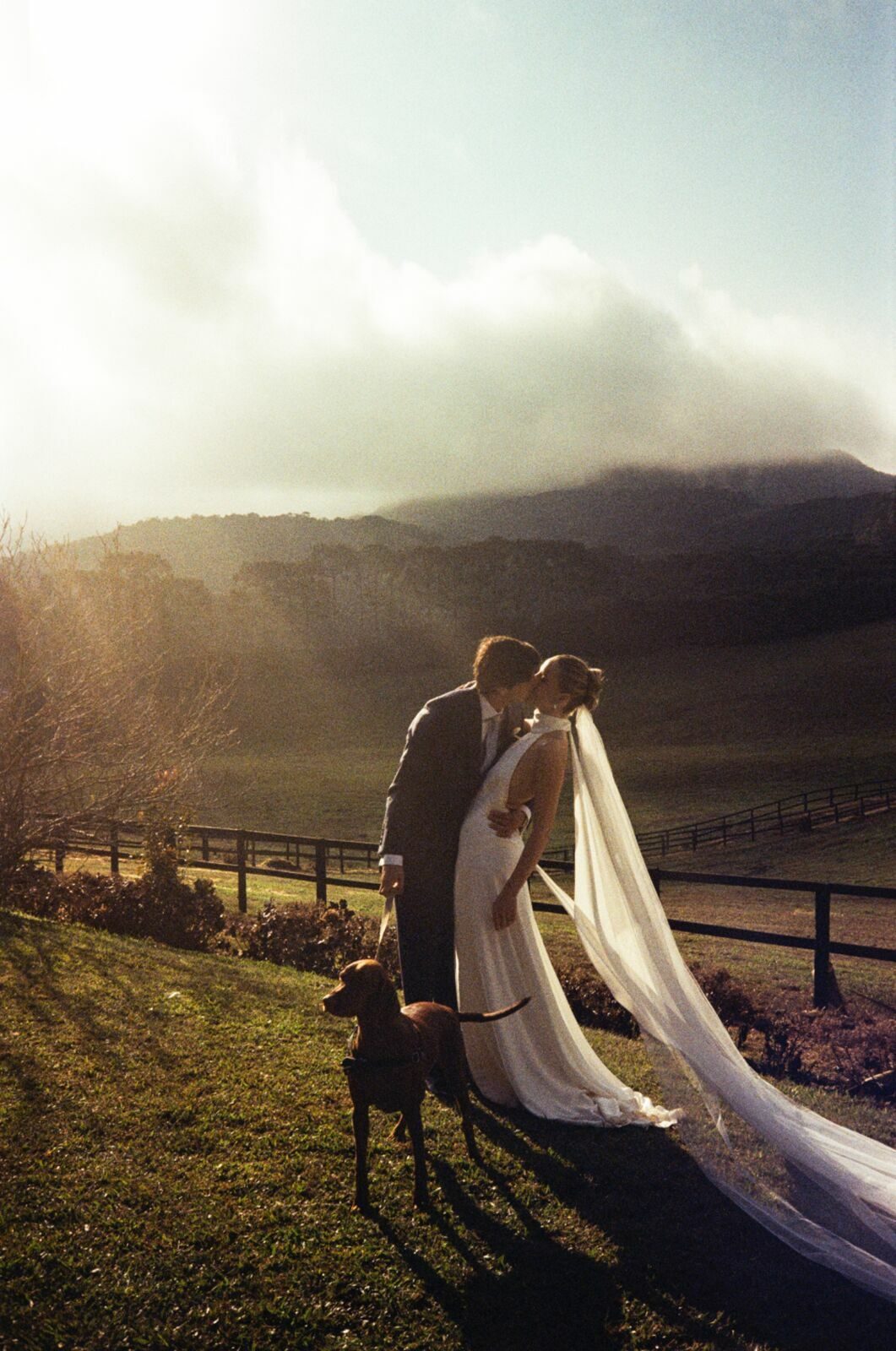 Couple kissing on a misty hillside, shot on film